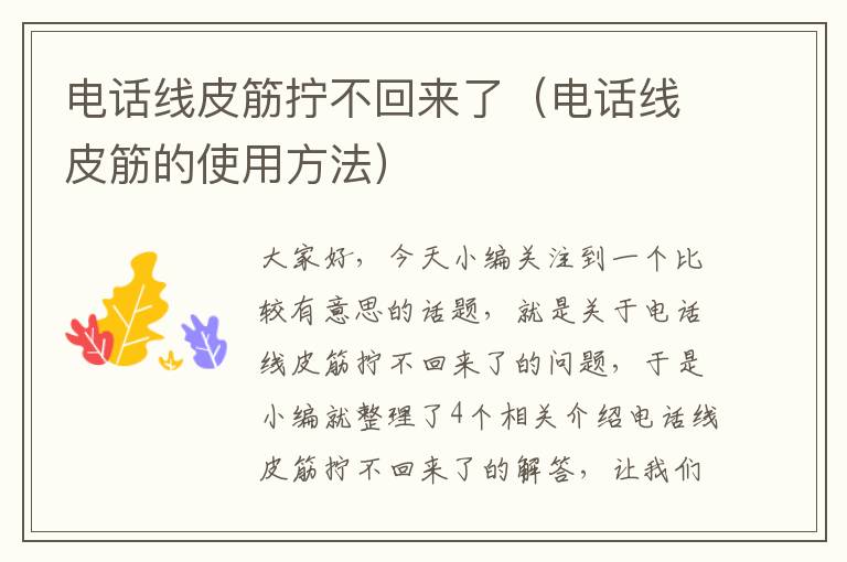 电话线皮筋拧不回来了(电话线皮筋的使用方法)
