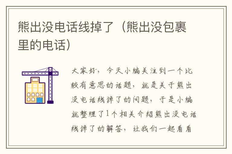 熊出没电话线掉了(熊出没包裹里的电话)