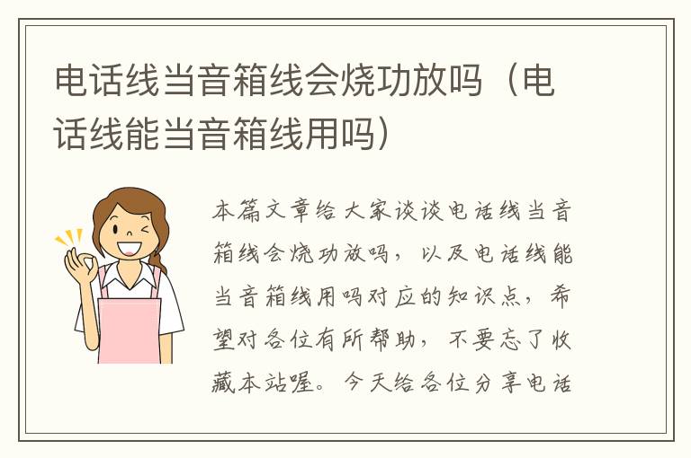 电话线当音箱线会烧功放吗(电话线能当音箱线用吗)
