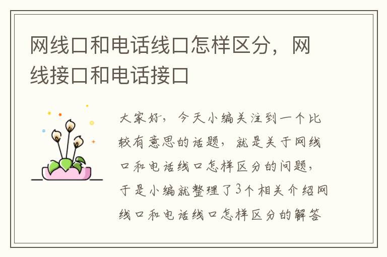 网线口和电话线口怎样区分,网线接口和电话接口