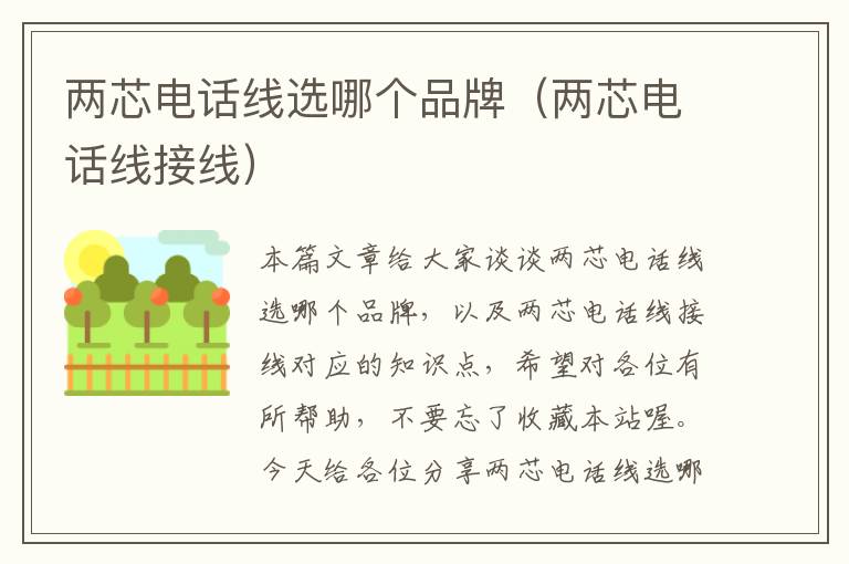两芯电话线选哪个品牌(两芯电话线接线)
