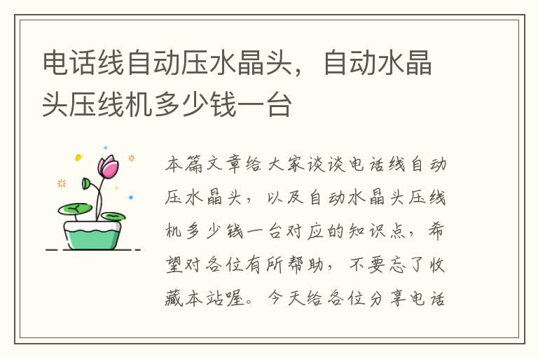 电话线自动压水晶头,自动水晶头压线机多少钱一台