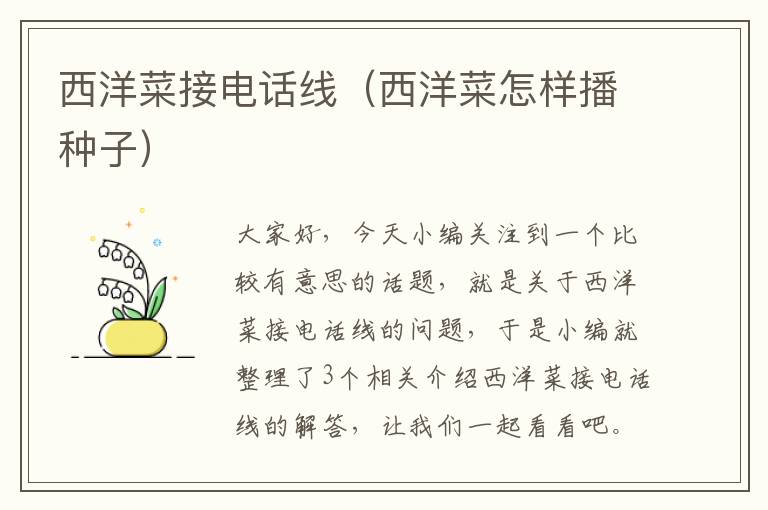 西洋菜接电话线(西洋菜怎样播种子)