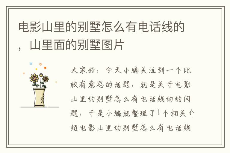 电影山里的别墅怎么有电话线的,山里面的别墅图片