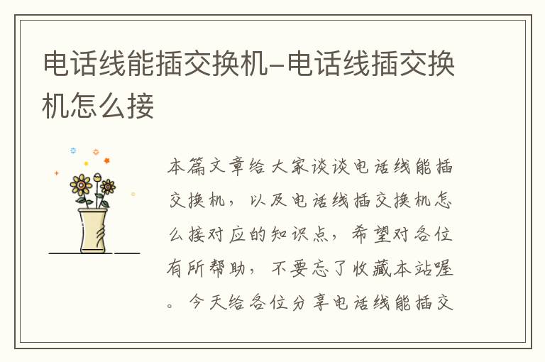 电话线能插交换机-电话线插交换机怎么接