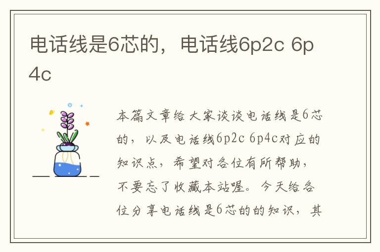 电话线是6芯的,电话线6p2c 6p4c