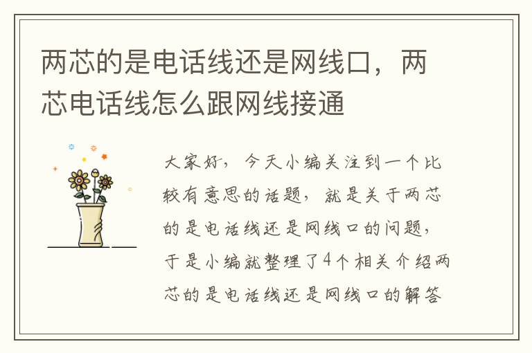 两芯的是电话线还是网线口,两芯电话线怎么跟网线接通