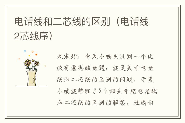 电话线和二芯线的区别(电话线2芯线序)
