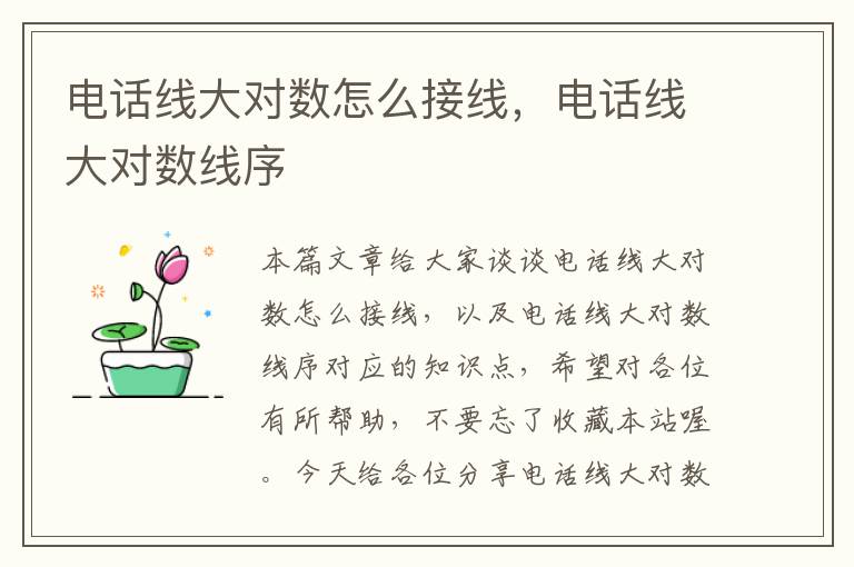 电话线大对数怎么接线,电话线大对数线序