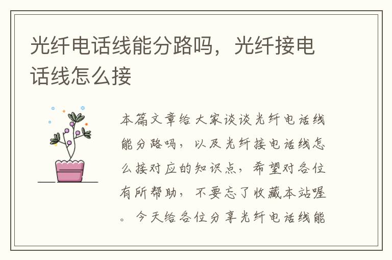 光纤电话线能分路吗,光纤接电话线怎么接