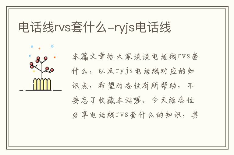 电话线rvs套什么-ryjs电话线