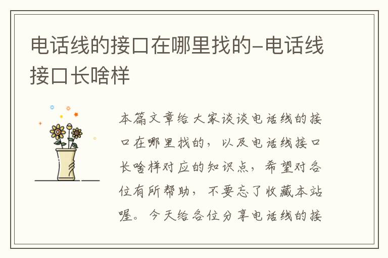 电话线的接口在哪里找的-电话线接口长啥样