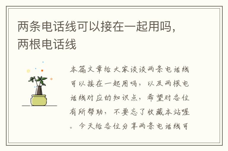 两条电话线可以接在一起用吗,两根电话线