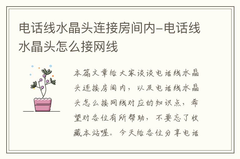 电话线水晶头连接房间内-电话线水晶头怎么接网线