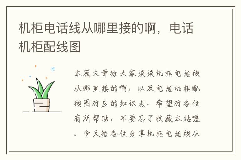 机柜电话线从哪里接的啊,电话机柜配线图