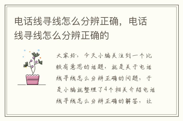电话线寻线怎么分辨正确,电话线寻线怎么分辨正确的