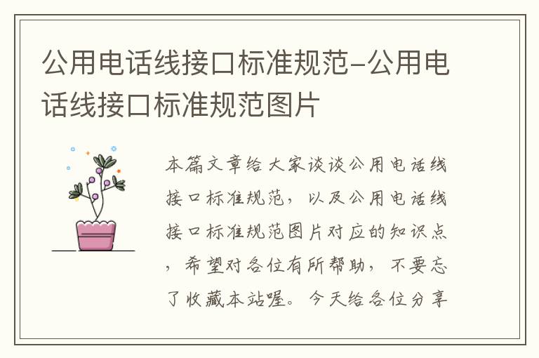 公用电话线接口标准规范-公用电话线接口标准规范图片