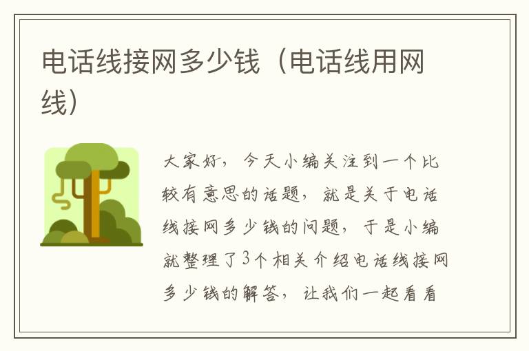 电话线接网多少钱(电话线用网线)