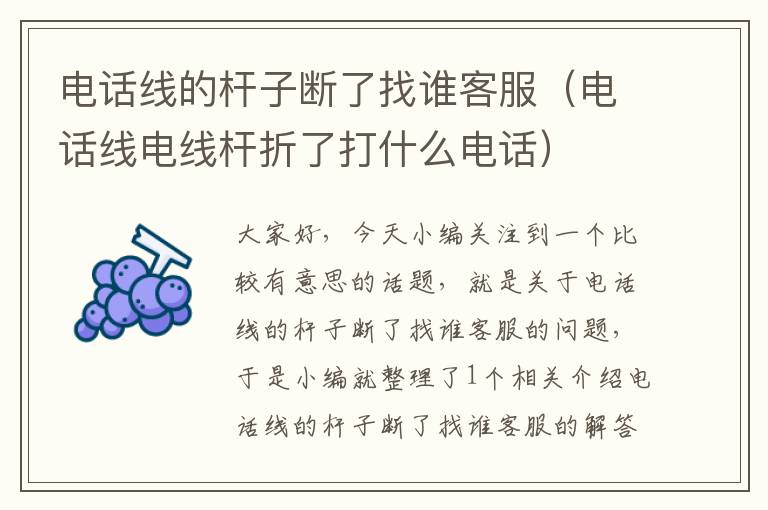 电话线的杆子断了找谁客服(电话线电线杆折了打什么电话)