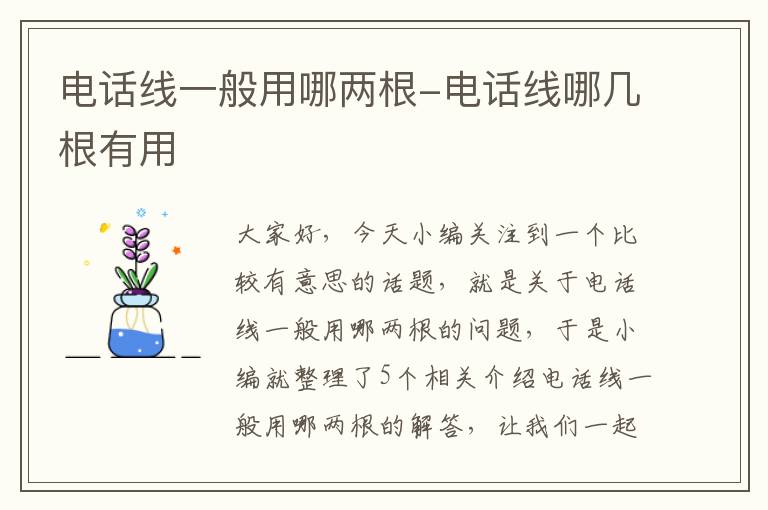 电话线一般用哪两根-电话线哪几根有用