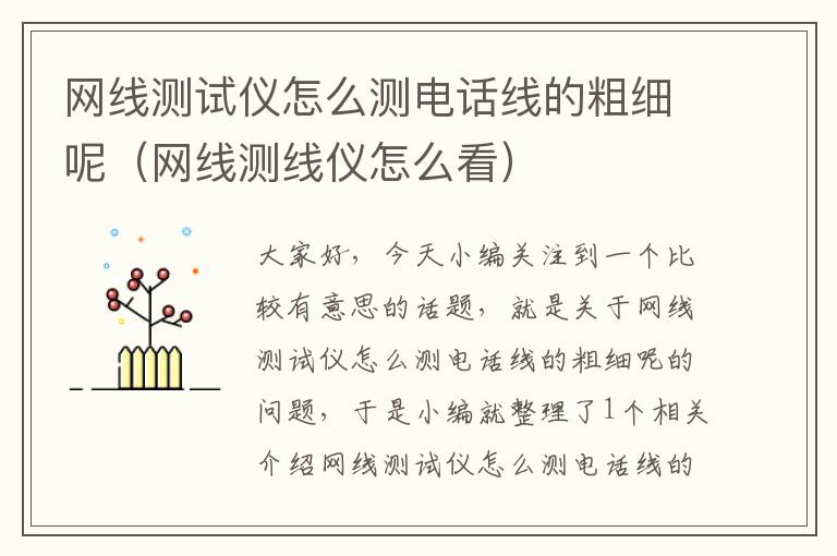 网线测试仪怎么测电话线的粗细呢(网线测线仪怎么看)