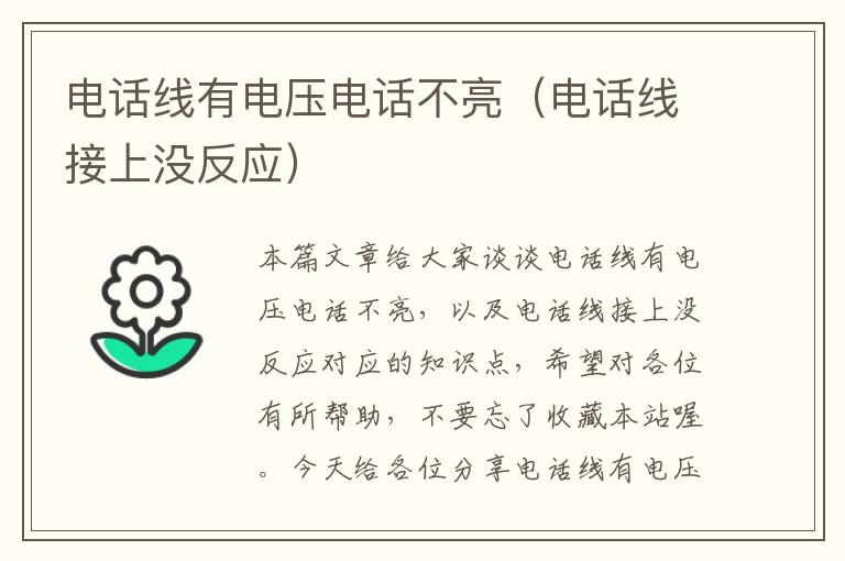 电话线有电压电话不亮(电话线接上没反应)