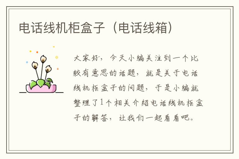 电话线机柜盒子(电话线箱)