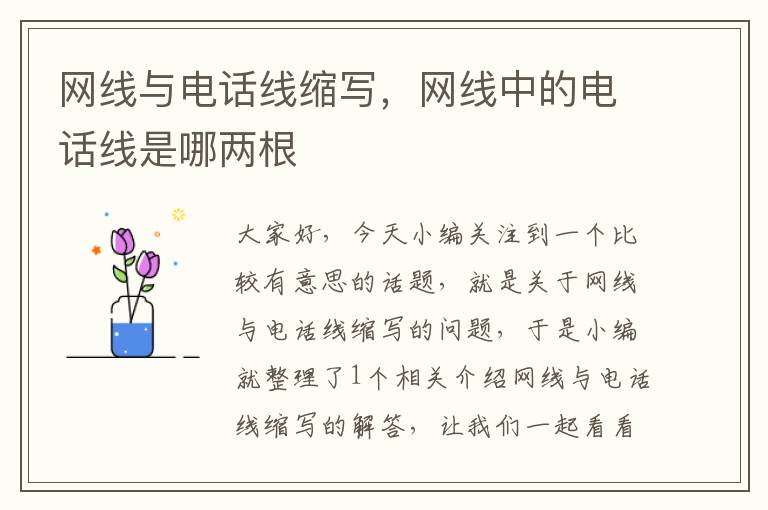 网线与电话线缩写,网线中的电话线是哪两根