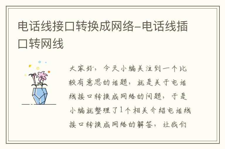 电话线接口转换成网络-电话线插口转网线