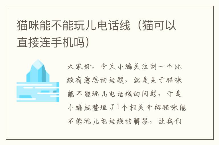 猫咪能不能玩儿电话线(猫可以直接连手机吗)