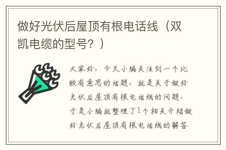 做好光伏后屋顶有根电话线（双凯电缆的型号？）