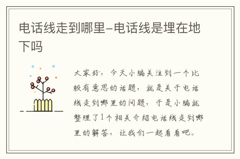 电话线走到哪里-电话线是埋在地下吗