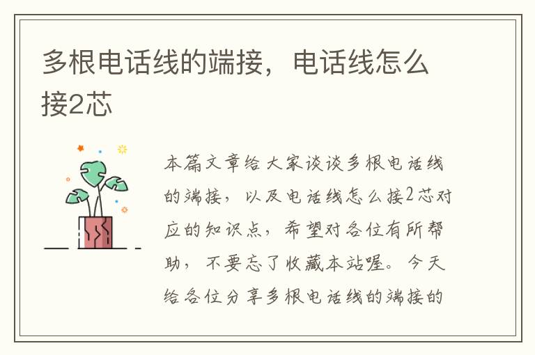 多根电话线的端接,电话线怎么接2芯