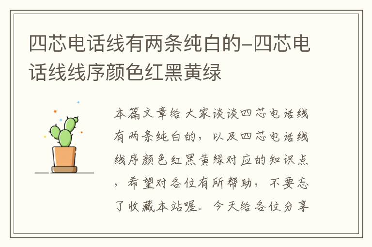 四芯电话线有两条纯白的-四芯电话线线序颜色红黑黄绿