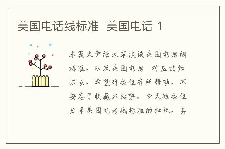 美国电话线标准-美国电话 1