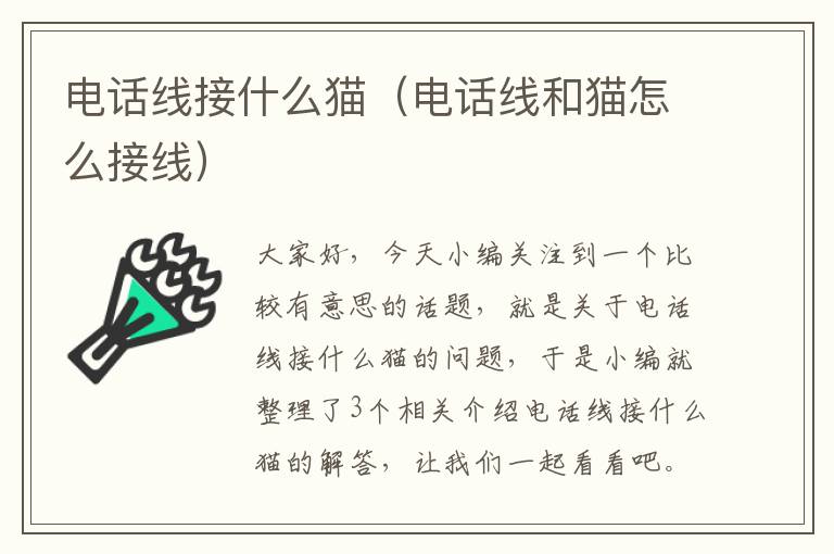 电话线接什么猫(电话线和猫怎么接线)