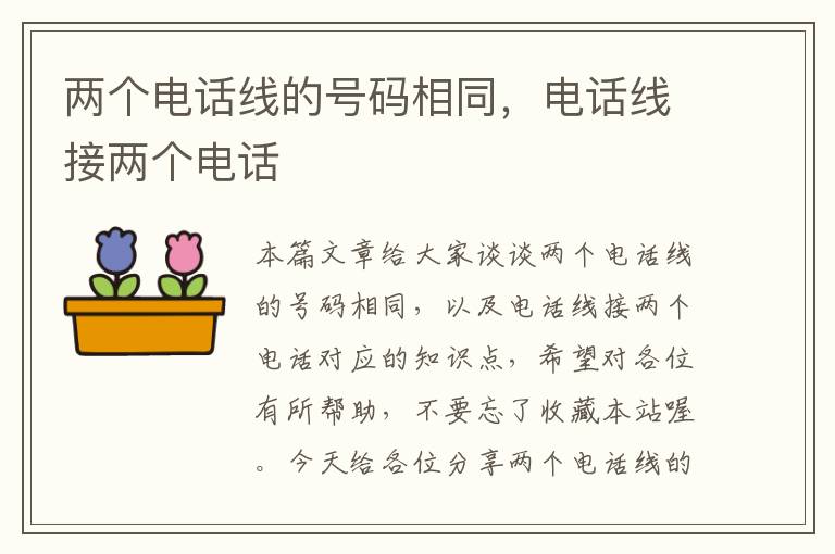 两个电话线的号码相同,电话线接两个电话