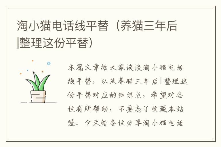 淘小猫电话线平替(养猫三年后|整理这份平替)
