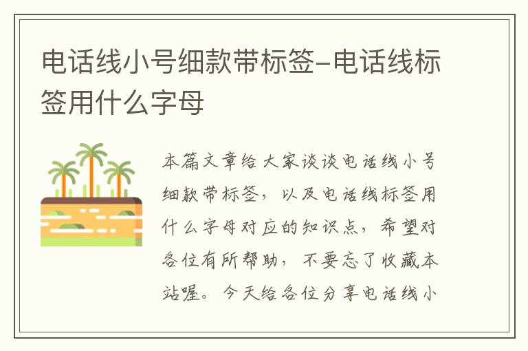 电话线小号细款带标签-电话线标签用什么字母