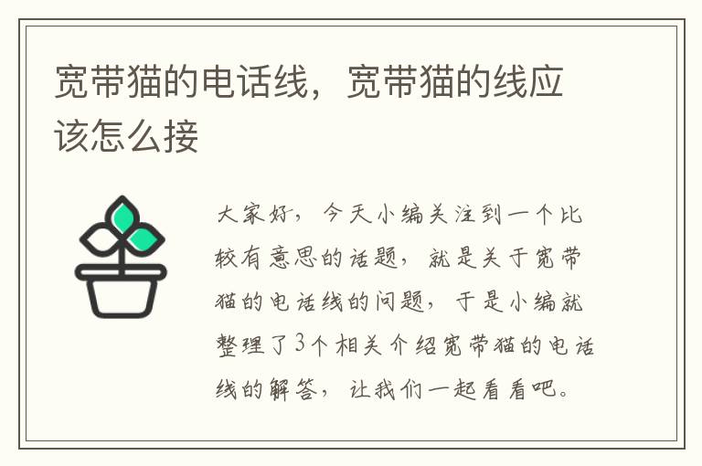 宽带猫的电话线,宽带猫的线应该怎么接