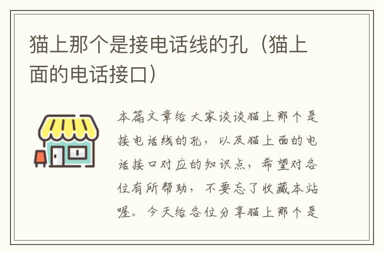 猫上那个是接电话线的孔(猫上面的电话接口)