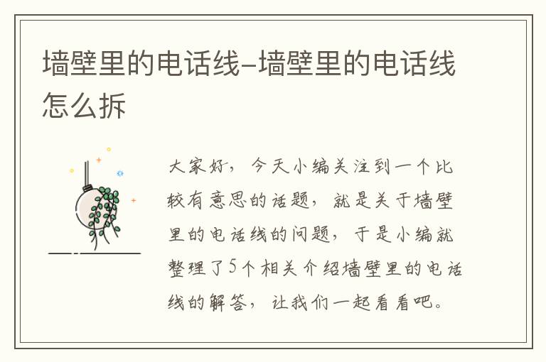 墙壁里的电话线-墙壁里的电话线怎么拆