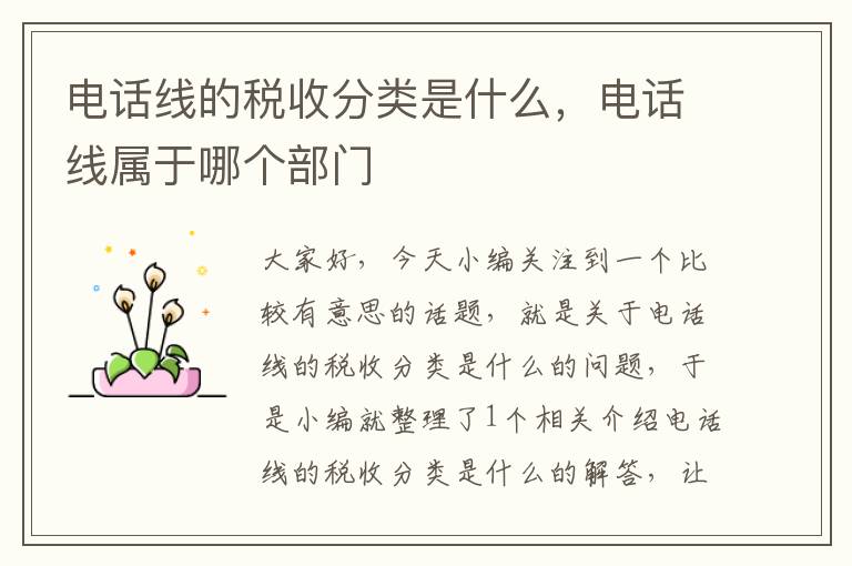 电话线的税收分类是什么,电话线属于哪个部门