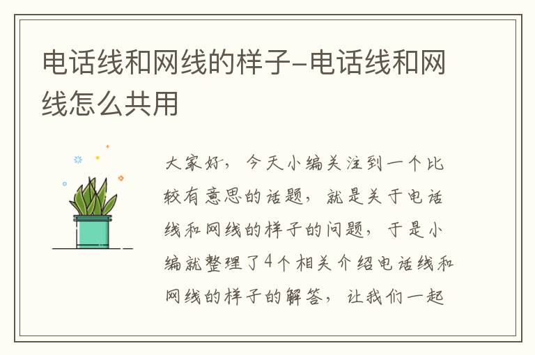 电话线和网线的样子-电话线和网线怎么共用