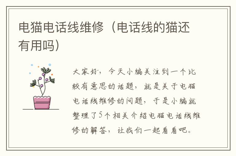 电猫电话线维修(电话线的猫还有用吗)