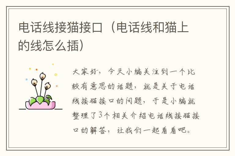 电话线接猫接口(电话线和猫上的线怎么插)
