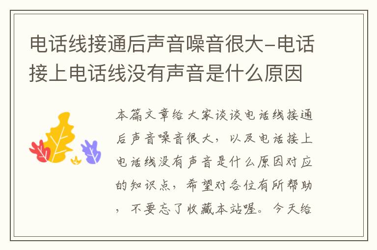 电话线接通后声音噪音很大-电话接上电话线没有声音是什么原因