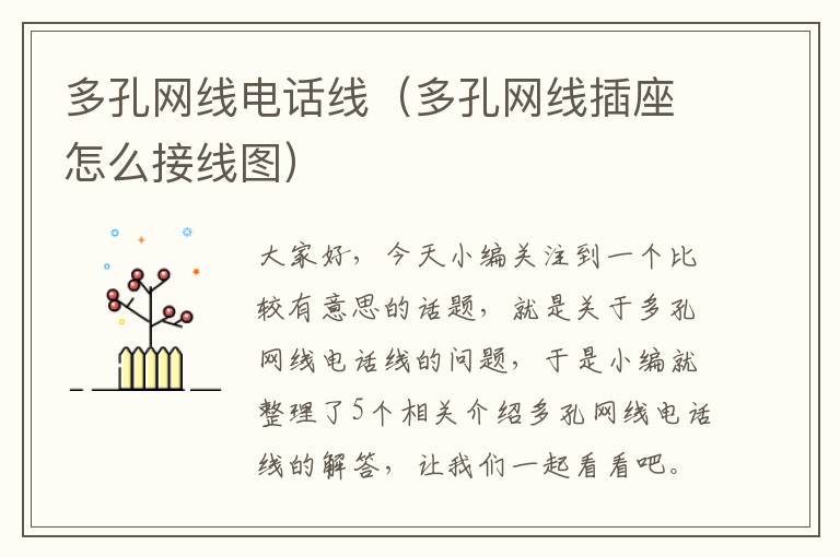 多孔网线电话线(多孔网线插座怎么接线图)