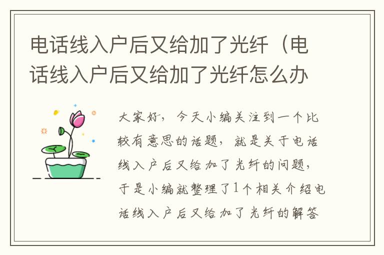 电话线入户后又给加了光纤(电话线入户后又给加了光纤怎么办)