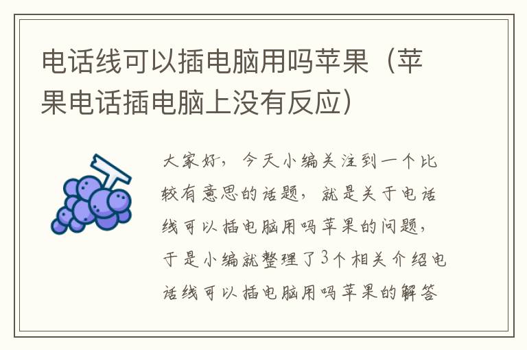 电话线可以插电脑用吗苹果(苹果电话插电脑上没有反应)